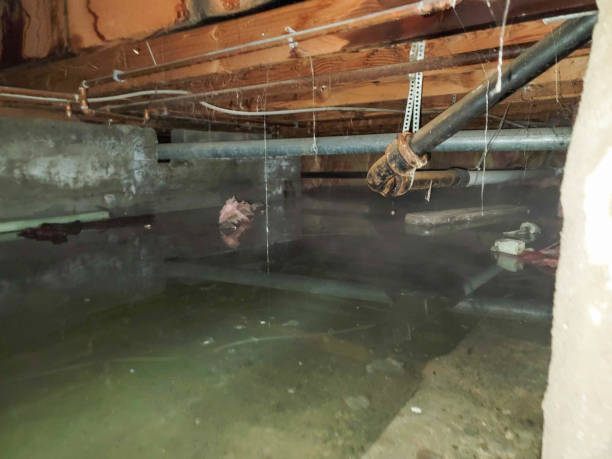 Best 24/7 water damage repair  in Van Alstyne, TX