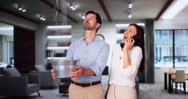 Best Ceiling water damage repair  in Van Alstyne, TX