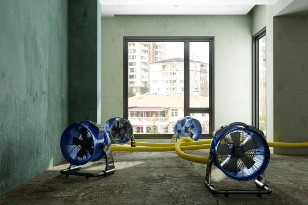 Best Water damage cleanup near me  in Van Alstyne, TX